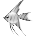 pez-251.png
