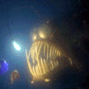 pez-274.gif