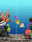 pez-285.gif