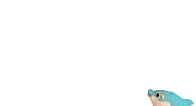 pez-292.gif