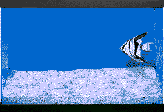 pez-295.gif