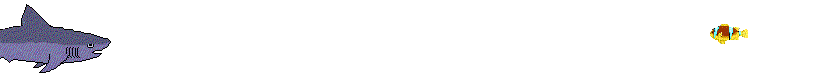 tiburon-015.gif