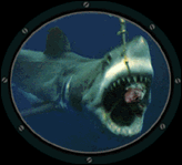 tiburon-035.gif