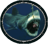 tiburon-036.gif