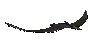 animal-prehistorico-alado-001.gif