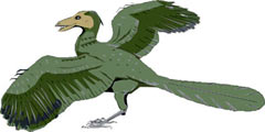 animal-prehistorico-alado-004.jpg