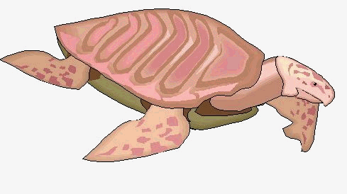 animal-prehistorico-marino-002.gif