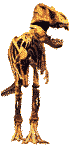 animal-prehistorico-terrestre-083.gif