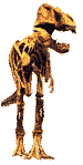 animal-prehistorico-terrestre-084.gif