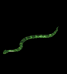 reptil-cobra-014.gif