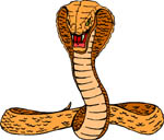 reptil-cobra-018.jpg