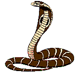 reptil-cobra-022.gif