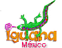 reptil-lagarto-009.gif