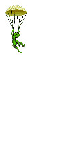 reptil-lagarto-010.gif