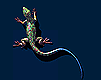 reptil-lagarto-013.gif