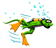 reptil-lagarto-017.gif