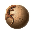 reptil-lagarto-025.png