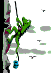 reptil-lagarto-026.gif