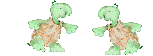 reptil-tortuga-016.gif