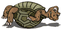 reptil-tortuga-017.gif