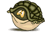 reptil-tortuga-019.gif