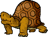 reptil-tortuga-026.gif
