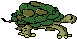reptil-tortuga-027.gif