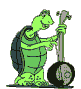 reptil-tortuga-028.gif