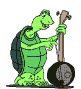 reptil-tortuga-038.gif