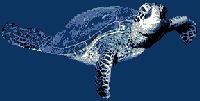 reptil-tortuga-041.gif