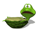 reptil-tortuga-044.gif