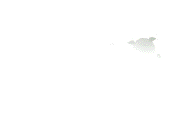reptil-tortuga-056.gif