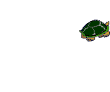 reptil-tortuga-057.gif