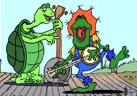 reptil-tortuga-058.gif