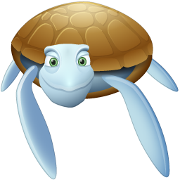 reptil-tortuga-073.png