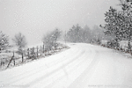 invierno-frio-nieve-033.gif