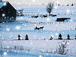 invierno-frio-nieve-036.gif