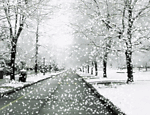 invierno-frio-nieve-041.gif