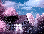 invierno-frio-nieve-042.gif