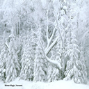 invierno-frio-nieve-053.jpg