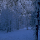 invierno-frio-nieve-058.jpg