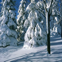 invierno-frio-nieve-059.jpg
