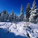 invierno-frio-nieve-061.jpg