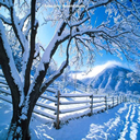invierno-frio-nieve-062.jpg
