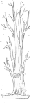 invierno-frio-nieve-070.gif