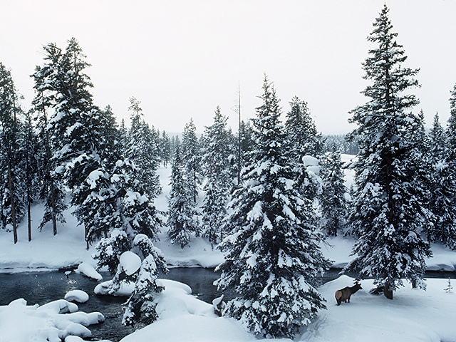 invierno-frio-nieve-099.jpg