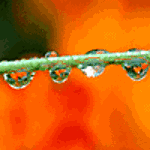 lluvia-037.gif