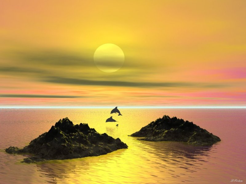 naturaleza-fondo-de-pantalla-007.jpg
