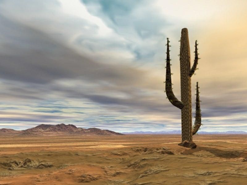 naturaleza-fondo-de-pantalla-010.jpg