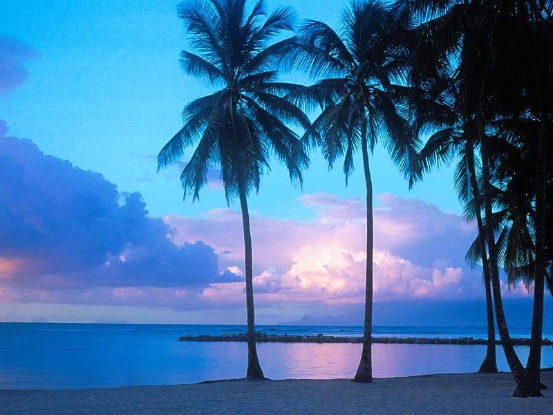 naturaleza-fondo-de-pantalla-013.jpg